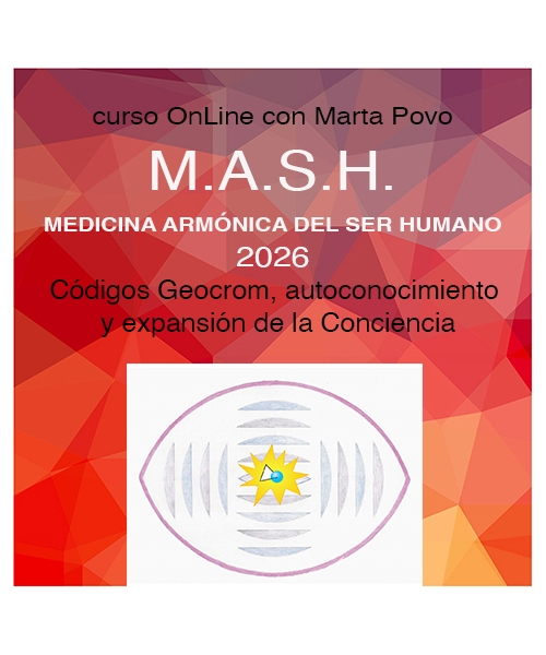 Seminario M.A.S.H por Zoom