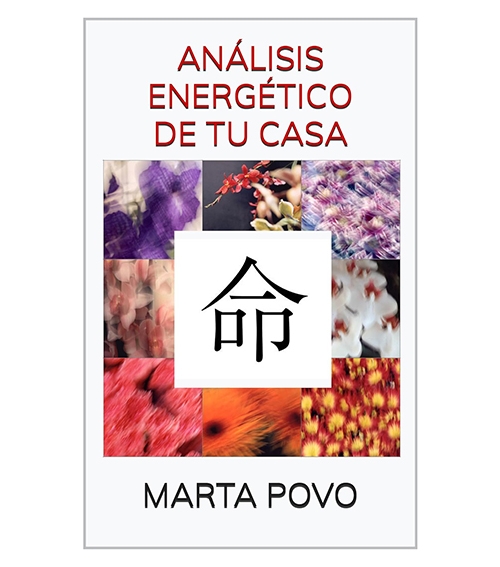 ANÁLISIS ENERGÉTICO DE TU CASA