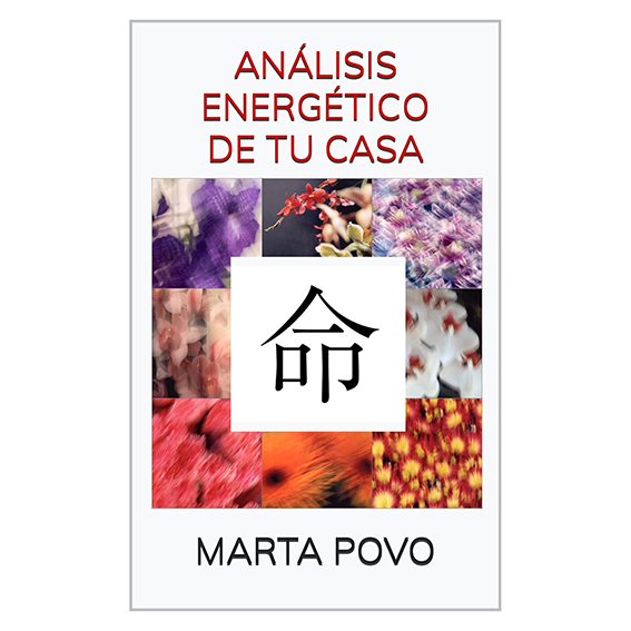 ANÁLISIS ENERGÉTICO DE TU CASA