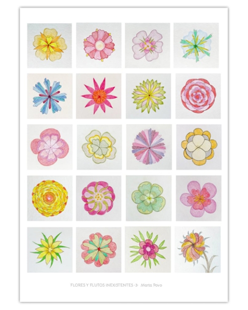 Flores Inexistentes